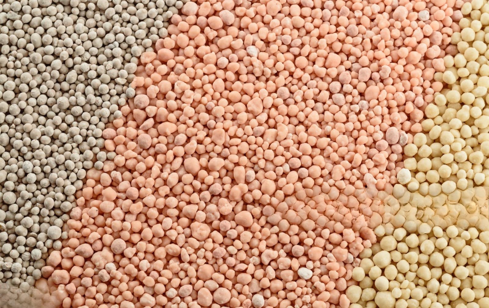 Gübre ve granülasyon tesisleri için granül gübre görseli