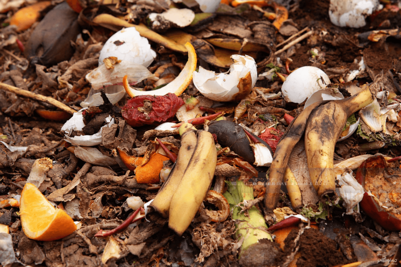 Kompost ve organik atık işleme çözümleri