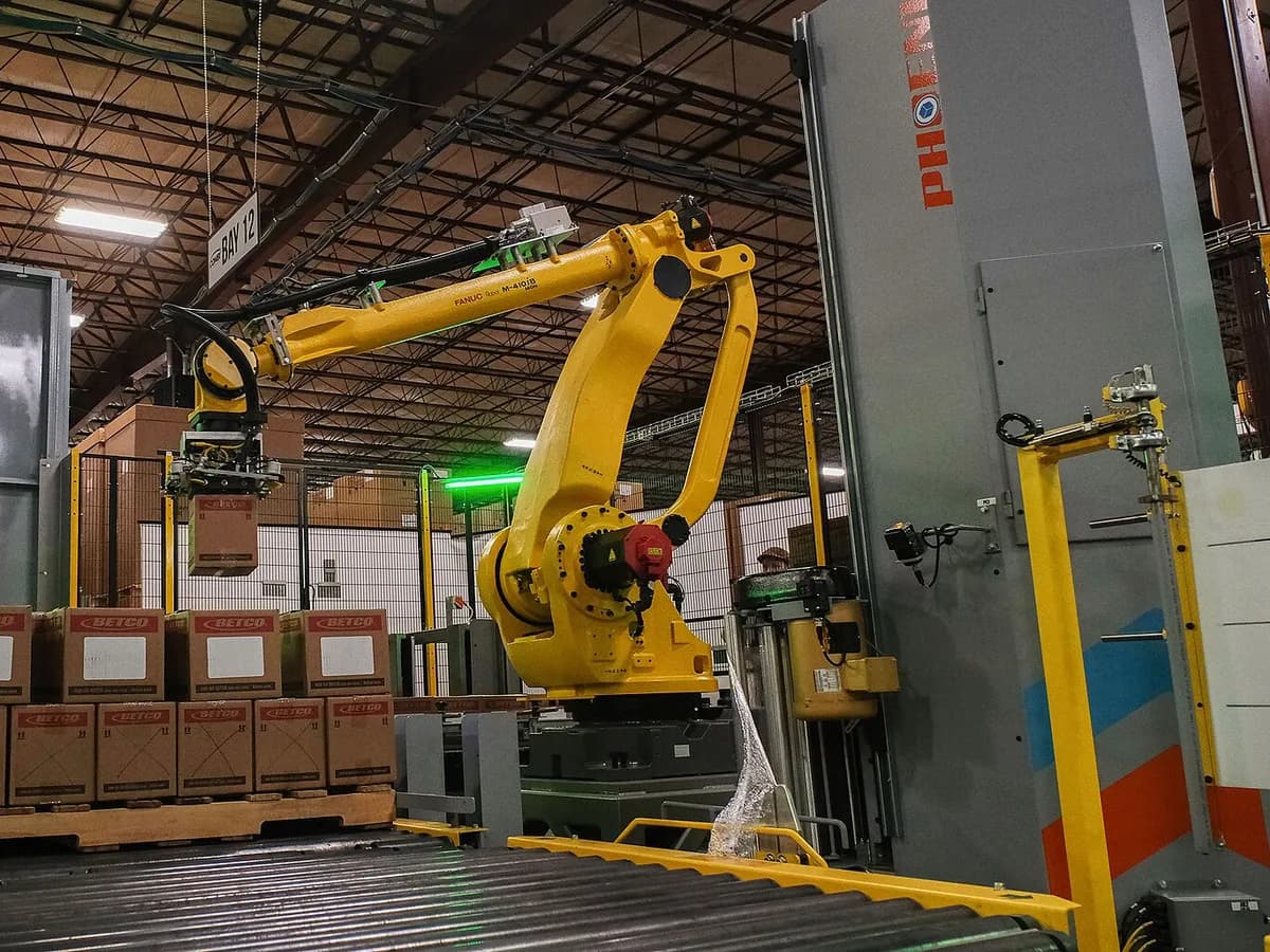 Palletizing robot stacking cartons from a conveyor next to a stretch wrapping unit (illustrative photo)