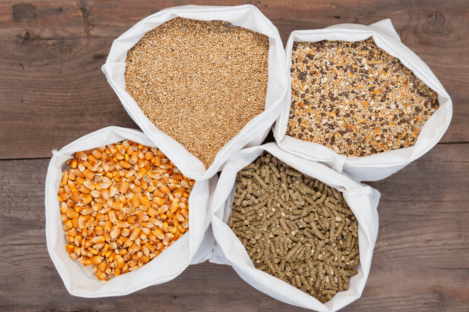 Yem ve dökme katı malzeme işleme çözümleri